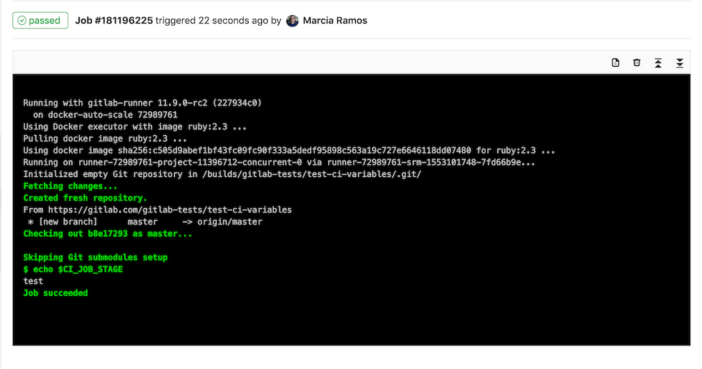 Output `$CI_JOB_STAGE`